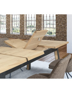 TABLE DE REPAS GARDEN 2