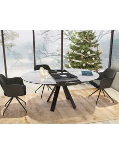 TABLE DE REPAS CHANTERELLE 2
