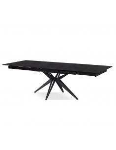 TABLE DE REPAS MUGUET 2