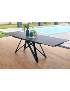 TABLE DE REPAS LILAS 2