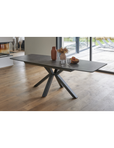 TABLE DE REPAS TULIPE 2