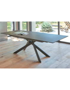 TABLE DE REPAS VIOLETTE 2