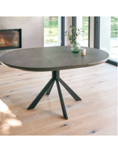 TABLE DE REPAS COLZA 2