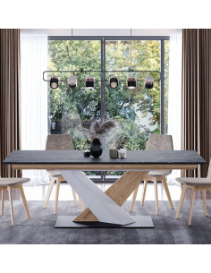 TABLE DE REPAS MOOVE 2