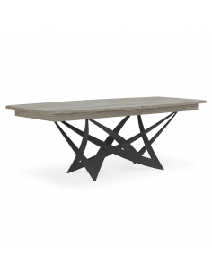 TABLE DE REPAS VAUTIER 2