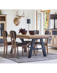 TABLE DE REPAS INDUS 2