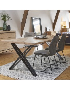 TABLE DE REPAS FUSION 2