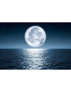 TABLEAU - PLEINE LUNE 2