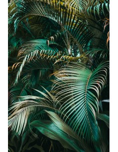 TABLEAU - PLANTES VERTES 2