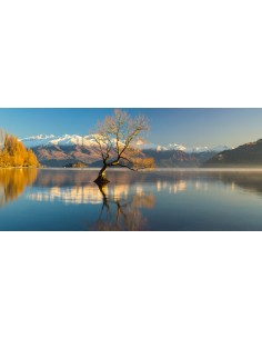 TABLEAU - PANORAMA DE... 2