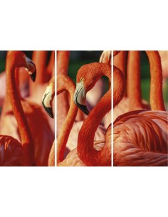 TABLEAU - FLAMANTS ROSES 2