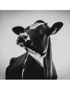 TABLEAU - BELLE VACHE 2