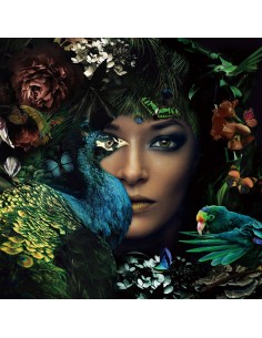 TABLEAU - LA DAME ET LE PAON 2