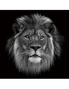 TABLEAU - LE ROI LION 2