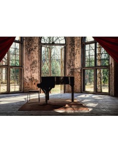 TABLEAU - PIANO À QUEUE... 2