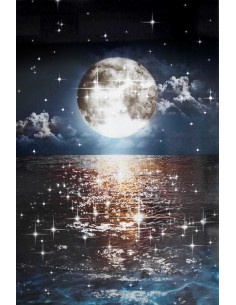 TABLEAU - LUNE SCINTILLANTE 2