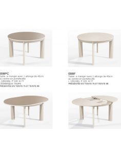 TABLE DE REPAS RONDE ARTY 2